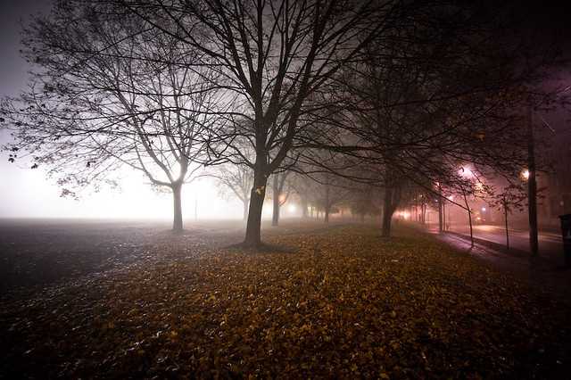 Some photos from Toronto's foggiest night of the year. #fogTO