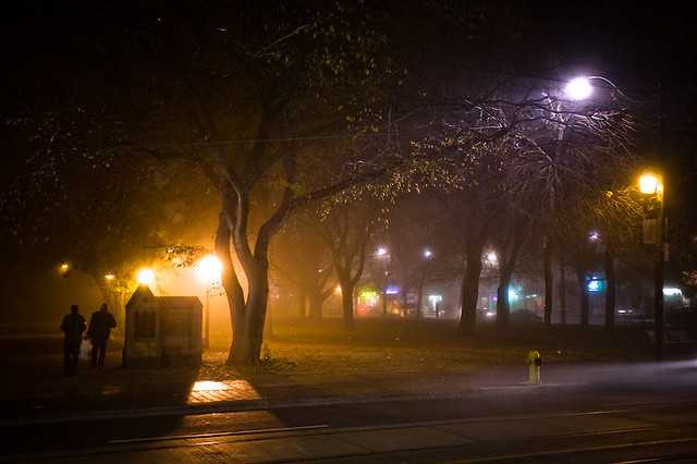 Some photos from Toronto's foggiest night of the year. #fogTO